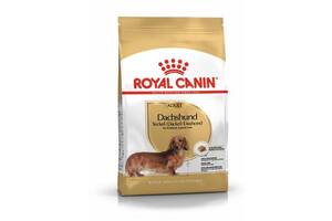 Royal Canin Dachshund Adult (Роял Канин Даксхунд Эдалт) сухой корм для собак породы такса от 10 месяцев