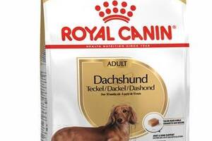 Royal Canin Dachshund Adult (Роял Канин Даксхунд Эдалт) сухой корм для собак породы такса от 10 месяцев