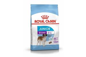 Royal Canin Giant Junior (Роял Канин Джаинт Джуниор) сухой корм для щенков гигантских пород от 8 месяцев