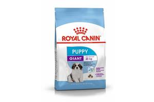 Royal Canin Giant Puppy (Роял Канин Джайнт Паппи) сухой корм для щенков очень крупных пород