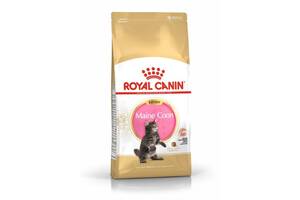 Royal Canin Maine Coon Kitten (Роял Канин Киттен мейн кун) сухой корм для котят 2 кг.