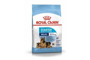 Royal Canin Maxi Starter (Роял Канин Макси Стартер Мазер Бебидог) корм для крупных беременных и кормящих собак 4 кг.