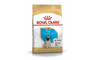 Royal Canin Pug Puppy (Роял Канин Мопс Паппи) сухой корм для щенков