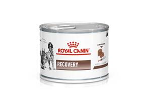 Royal Canin Recovery (Роял Канин Рекавери) влажный корм для собак и кошек для восстановления после болезни 0.195 кг...