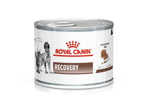 Royal Canin Recovery (Роял Канин Рекавери) влажный корм для собак и кошек для восстановления после болезни 0.195 кг...