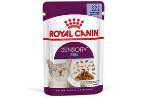 Royal Canin Sensory Feel Jelly (Роял Канин Сенсори в желе) влажный корм для переборчивых котов 85 г х 12 шт 85 г х 12 шт