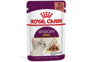 Royal Canin Sensory Smell Gravy (Роял Канин Сенсори кусочки) влажный корм для переборчивых кошек 85 г х 12 шт 85 г х...