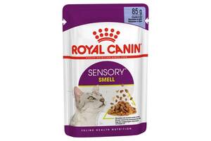 Royal Canin Sensory Smell Jelly (Роял Канин Сенсори в желе) влажный корм для требовательных кошек 85 г х 12 шт