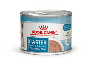 Royal Canin Starter Mousse Mother Babydog (Роял Канин Стартер) влажный корм для беременных собак 195 г х 12 шт