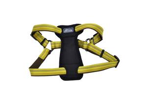 Шлея светоотражающая с нагрудником для собак Coastal K9 Explorer Harness 11.3-22.6 кг 2,5 х 50,8-76,2 см (76484369506)