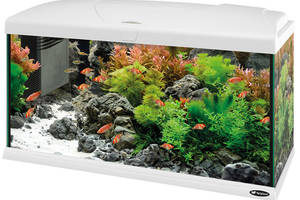 Стеклянный аквариум со светодиодной лампой на 100 литров Ferplast Capri 80 LED (Ферпласт Капри 80 ЛЕД)