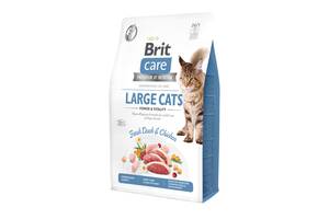 Сухой корм для кошек крупных пород Brit Care Cat GF Large cats Power & Vitality с уткой и курицей 2 кг (8595602540914)