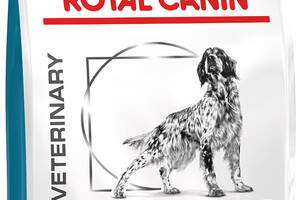 Сухой корм для собак Royal Canin Hypoallergenic от 10 месяцев при пищевой аллергии 2 кг (3182550710923) (91053) (3910...