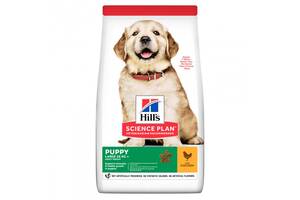 Сухой корм Hill's SP Puppy Large Chicken с курицей для щенков крупных пород 14.5 кг (052742026084)