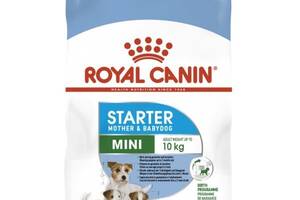 Сухой корм Royal Canin Mini Starter для щенков до 2-х месяцев 8 кг (3182550932691)