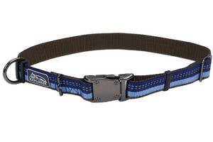 Светоотражающий ошейник для собак Coastal K9 Explorer Collar 2.5х46-66см сапфировый (76484369230)