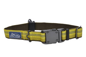 Светоотражающий ошейник для собак Coastal K9 Explorer Collar 2.5 х 30 - 46 см золотарник (76484369285)