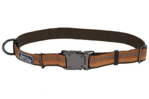 Светоотражающий ошейник для собак Coastal K9 Explorer Collar 2.5х46-66см пламя (76484369216)