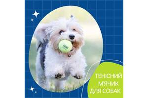 Теннисные мячики б/у. Игрушка для собак