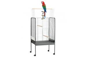 Вольер - большая клетка на колесах для попугаев, средних и больших птиц Fop Tiffany (Фоп Тифани)