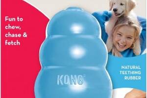 Игрушка для щенков средних и крупных пород KONG Puppy Груша-кормушка L 10.2x7x7 см Голубой (035585131115)