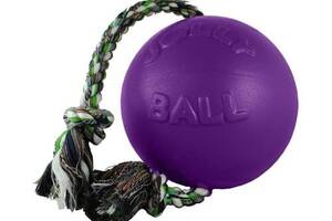 Игрушка для собак JOLLY PETS ROMP-N-ROLL фиолетовая 16 см