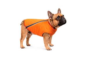 Жилет для собак 'E.Vest' оранжевый XS-2 (4823082424283)