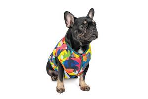 Жилет Pet Fashion SPRING для собак М2 принт Многоцветный (4823082420568)