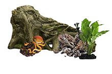 Фото Декорации для террариумов