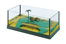 Фото Террариумы