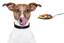 Фото Витамины для собак и щенков