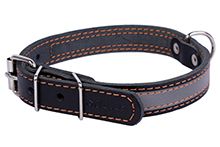 Фото Ошейники