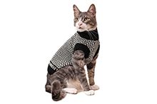 Фото Одежда для котов и кошек
