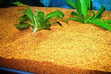 Фото Декоративний грунт