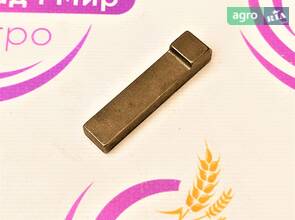 Шпонка з головкою