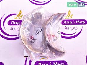 Вкладиш шатунний