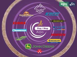 Стопорне кільце