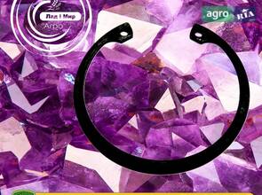 Стопорное кольцо