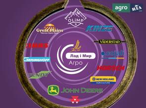 Стопорне кільце