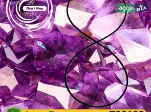 Ущільнювальне кільце T80123 до трактора John Deere