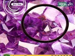 Ущільнювальне кільце R520928 до оприскувача John Deere