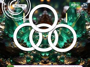 Шайба R244925 до трактора John Deere