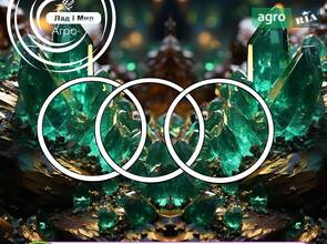 Кільце регулювальне