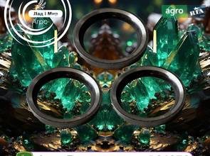 Вкладиш R84976 до комбайна John Deere