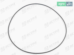 Кільцеве ущільнення