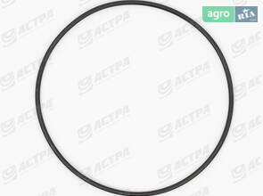 Кільце гумове 95х2.5-N 213409.0