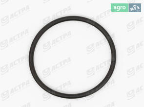 Уплотнение 38х2. 5-N 633215.0