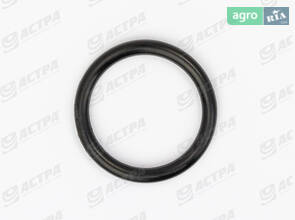 Кільце гумове 18.72х2.62-N 211923.0