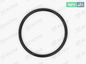 Ущільнення 30х2-N 238449.0