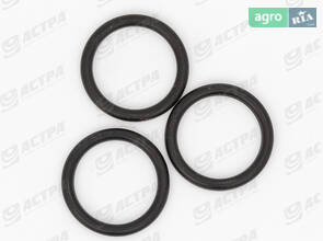 Ущільнення 16.3х2.4 238677.1